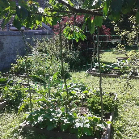 La Chaumiere Du Tordoir 3* Les Rues-des-Vignes